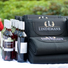 Promotional picnic blanket